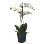 Orchidea 3ágú cserepes 67cm - Fehér