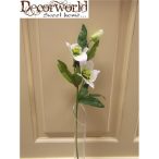 Szálas hunyor (2 virág, 1 bimbó) krém