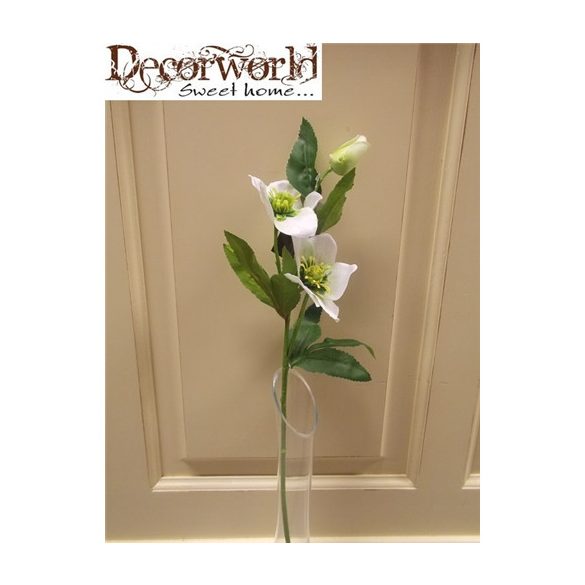 Szálas hunyor (2 virág, 1 bimbó) krém