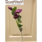 Szálas hunyor (2 virág, 1 bimbó) lila