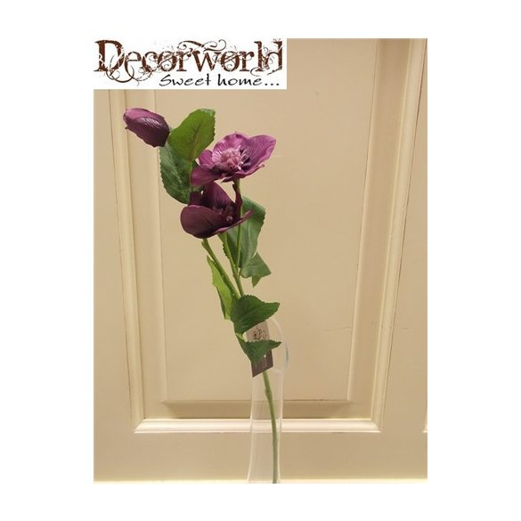 Szálas hunyor (2 virág, 1 bimbó) lila