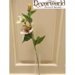 Szálas hunyor (2 virág, 1 bimbó) rózsaszín