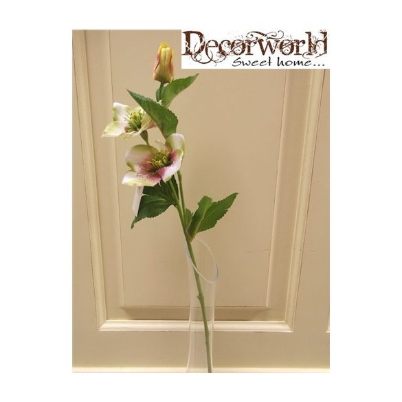 Szálas hunyor (2 virág, 1 bimbó) rózsaszín