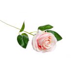 Rózsa ág 55cm - Rózsaszín