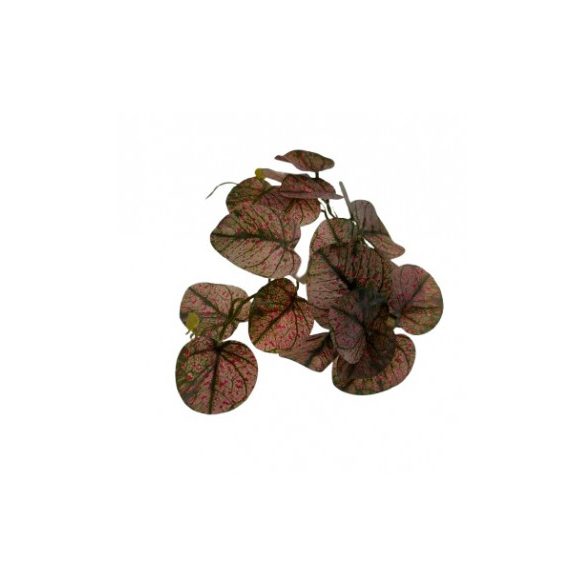 Begonia levélcsokor 26cm - Zöld/lila