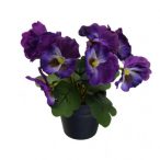 Árvácska csokor 19cm - Lila (műanyag cserépben)