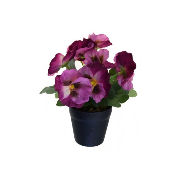 Árvácska csokor 19cm - Rózsaszín (műanyag cserépben)