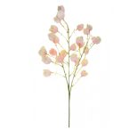 Physalis 77cm - Piros