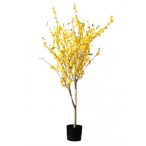 Aranyeső bokor 120cm - Sárga (műanyag kaspóban)