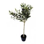 Olívafa 95cm - Zöld (műanyag kaspóban)