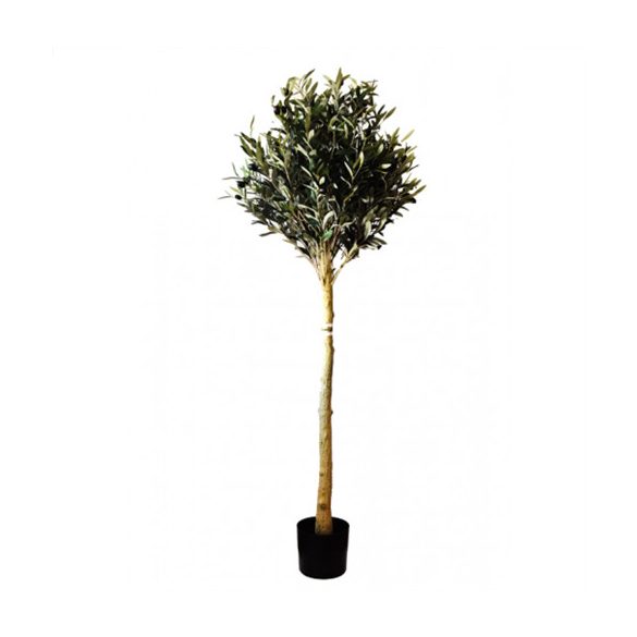 Olívafa 150cm - Zöld (műanyag kaspóban)