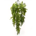 Csüngő páfrány 73cm - Zöld