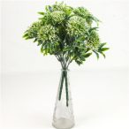 Sedum 30 cm  - Fehér /DB