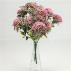 Sedum 30 cm  - Rózsaszín /DB