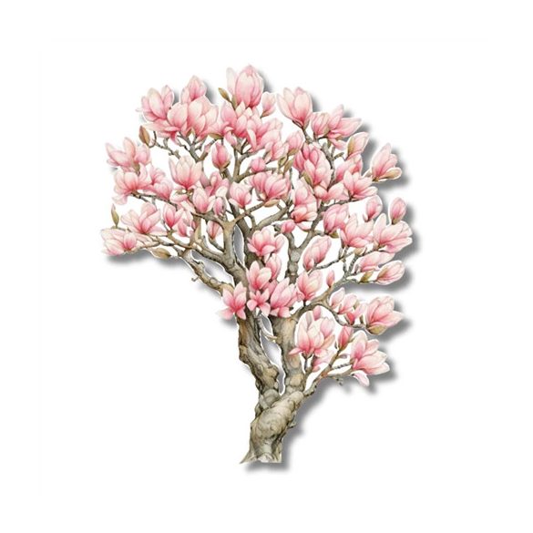 Nyomtatott dekorkarton 13cm - Virágzó magnólia fa