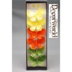 Pillangó lepke dobozos - Vegyes (6db/dob.)