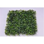 Buxus kocka 25x25cm