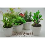 Pozsgás mix műa. zöld