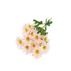 Margaréta csokor 53cm - Rózsaszín
