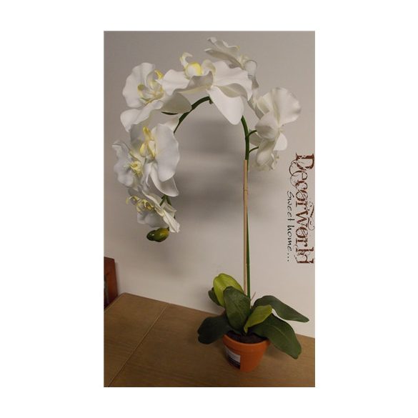 Phalaenopsis Orchidea ültetett cserépben 1 szálas textil fehér 70-75cm