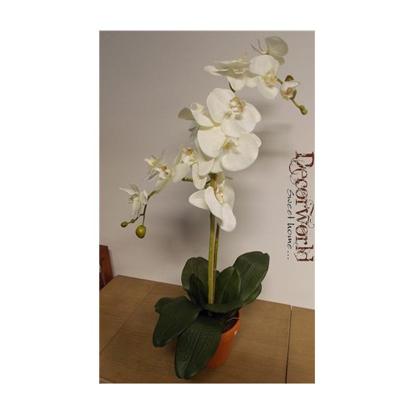 Phalaenopsis Orchidea ültetett cserépben 2 szálas textil fehér 70-75cm