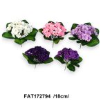 Fokföldi ibolya bokor 18cm - Több színben