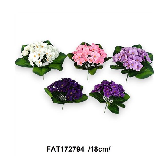 Fokföldi ibolya bokor 18cm - Több színben