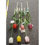 Szálas gumitulipán 40cm - Több színben