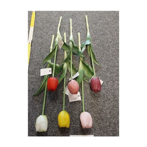 Szálas gumitulipán 40cm - Több színben