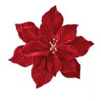 Mikulásvirág bársony 18cm - Bordó